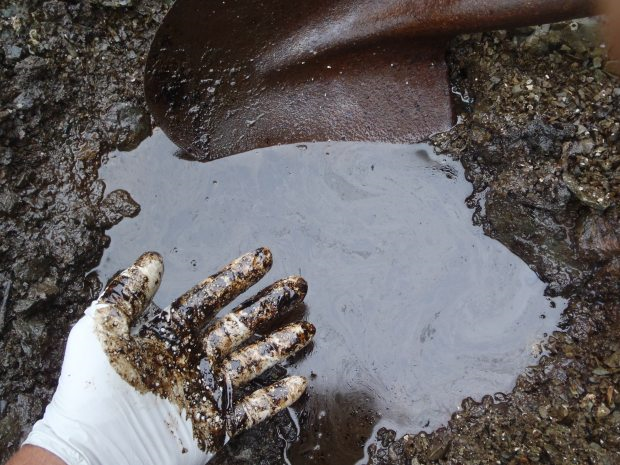 Photo taken on June 28, 2013 shows lingering Exxon Valdez oil coating shoreline sediments on Eleanor Island in Prince William Sound (Photo by David Janka)