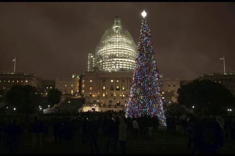 A photo of the US Capitol Christmas tree from our own Chugach State Forest!