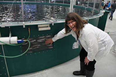 Touring Alaska Fish & Game?s award-winning William Jack Hernandez Fish Hatchery on Ship Creek in downtown Anchorage.