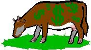 Cash Cow