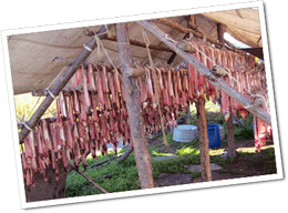 Drying Rack - Note from Rep. Les Gara