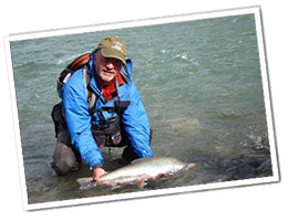 Note from Rep. Les Gara