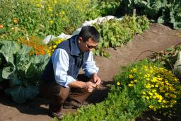 Rep. Kawasaki visiting garden