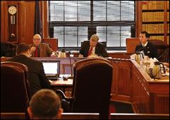 Listening to Consultant testimony in the Finance committee