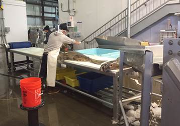 Got to check out the Alaska Glacier Seafoods plant