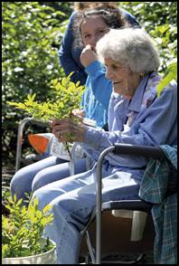 Hazel Englund picking blueberries.