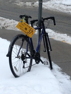Winter means two things: snow and the legislative session. I'm also a firm believer this is the best possible use of legislative vanity license plates.
